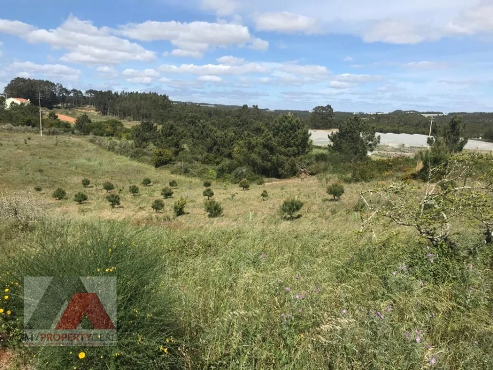 Terreno Misto para Venda em Silveira Foto 9