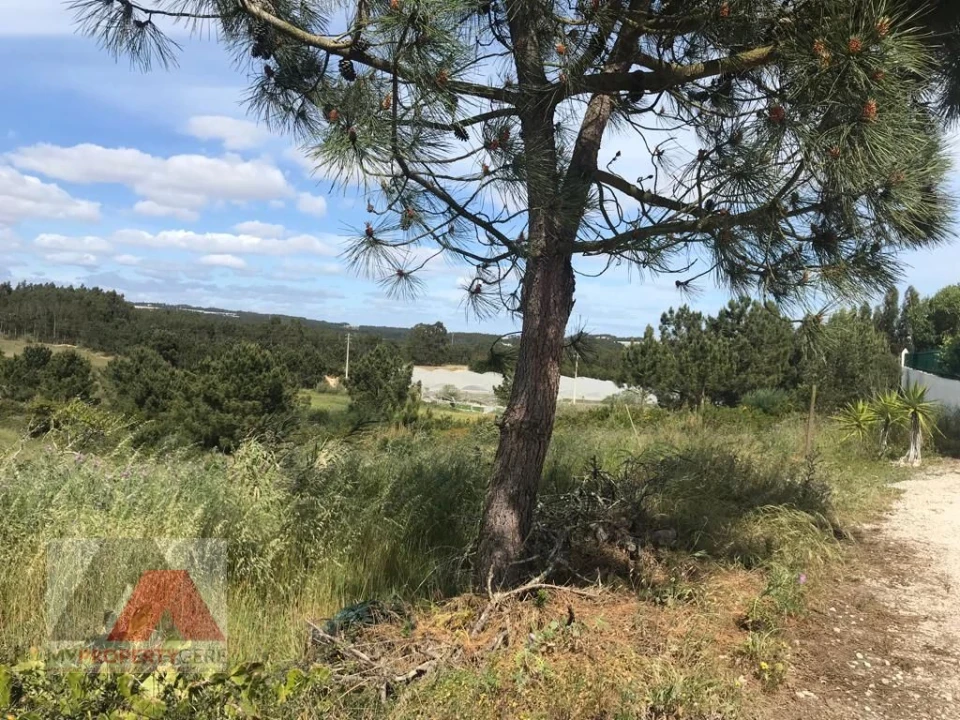 Terreno Misto para Venda em Silveira Foto 15