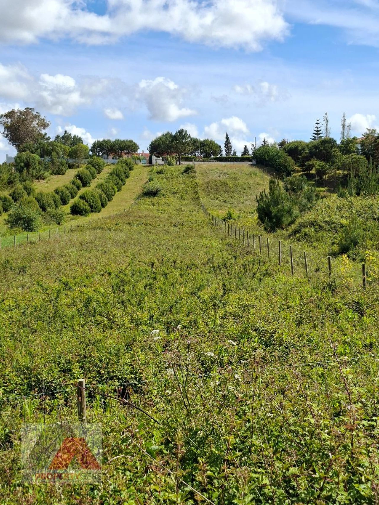 Terreno Misto para Venda em Silveira Foto 11