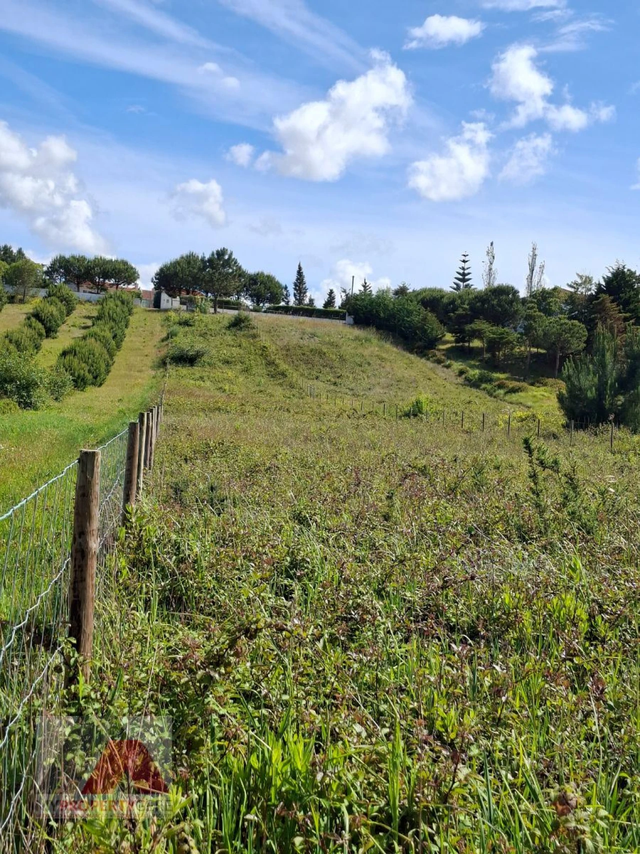 Terreno Misto para Venda em Silveira Foto 14