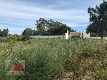 Terreno Misto para Venda em Silveira