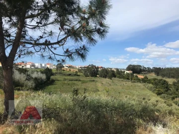 Terreno Misto para Venda em Silveira