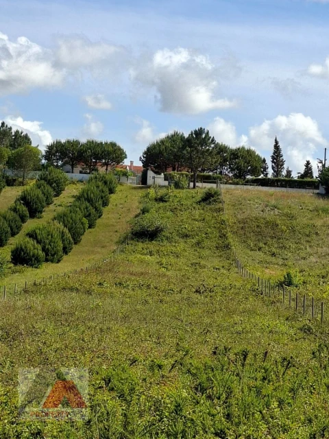 Terreno Misto para Venda em Silveira