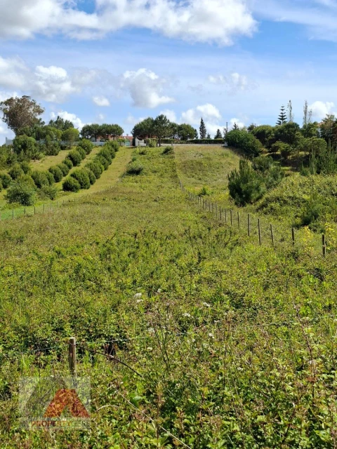 Terreno Misto para Venda em Silveira