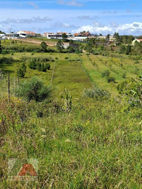 Terreno Misto para Venda em Silveira