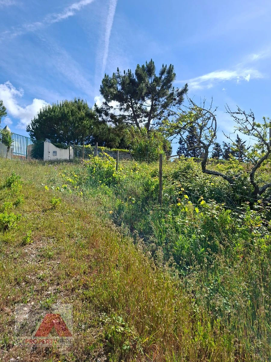 Terreno Misto para Venda em Silveira Foto 17