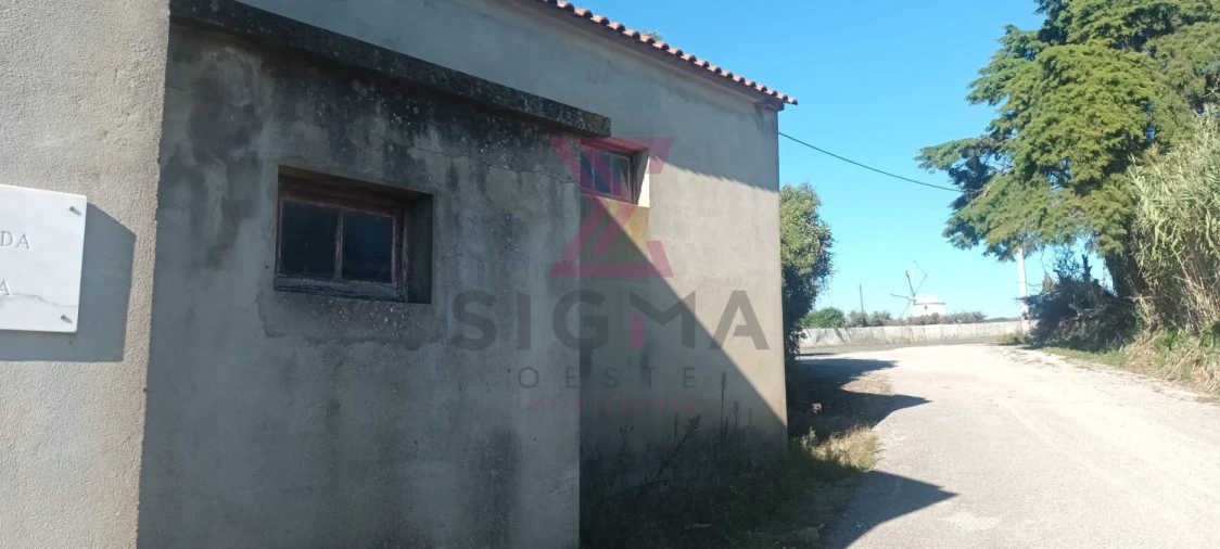Loja para Venda em Bombarral e Vale Covo Foto 8