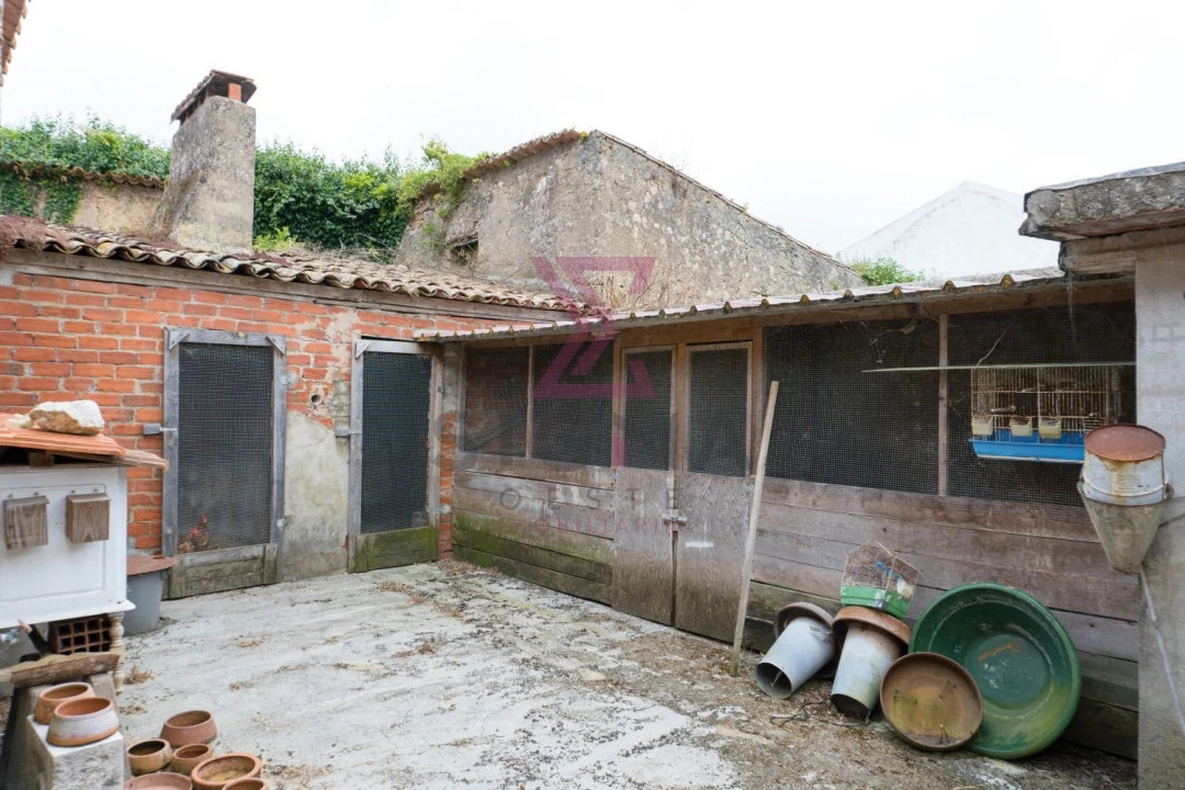 Loja para Venda em Roliça Foto 14