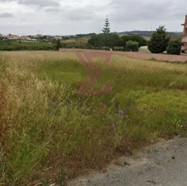 Terreno para Venda em Moita dos Ferreiros