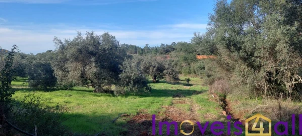 Terreno para Venda em Alte