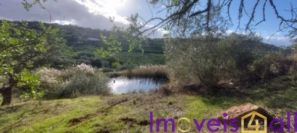 Terreno para Venda em Alte