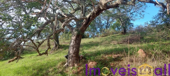 Terreno para Venda em Alte