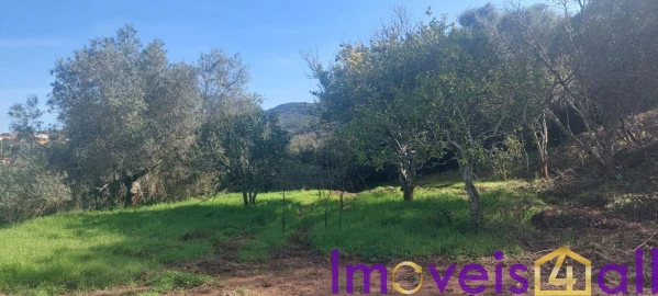 Terreno para Venda em Alte