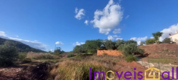 Terreno para Venda em Alte