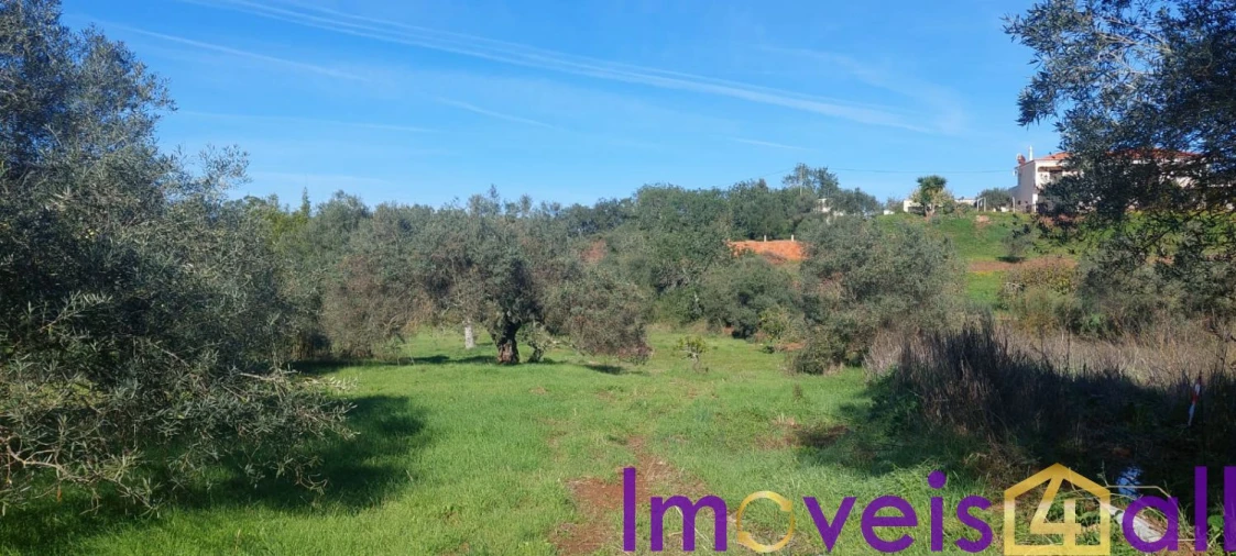 Terreno para Venda em Alte Foto 16