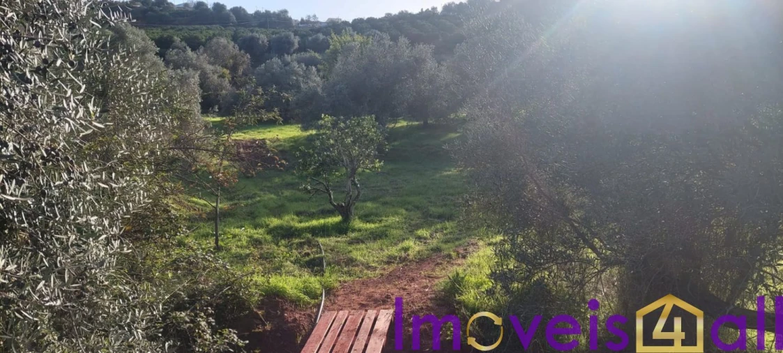 Terreno para Venda em Alte Foto 24
