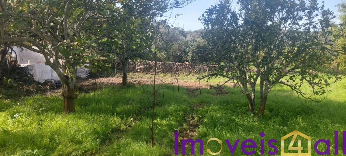 Terreno para Venda em Alte Foto 26