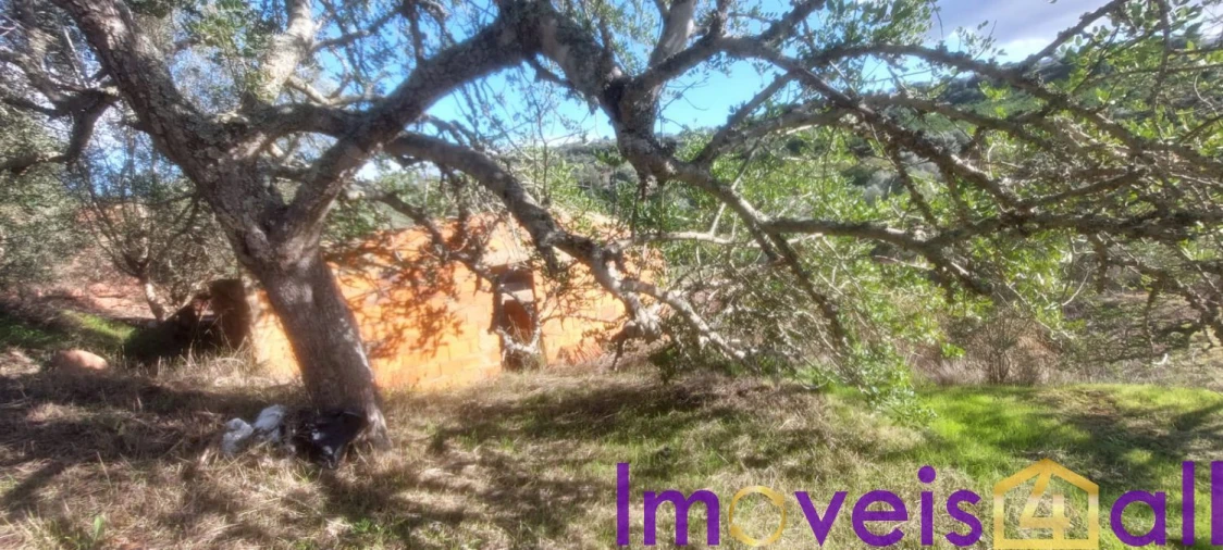 Terreno para Venda em Alte Foto 3