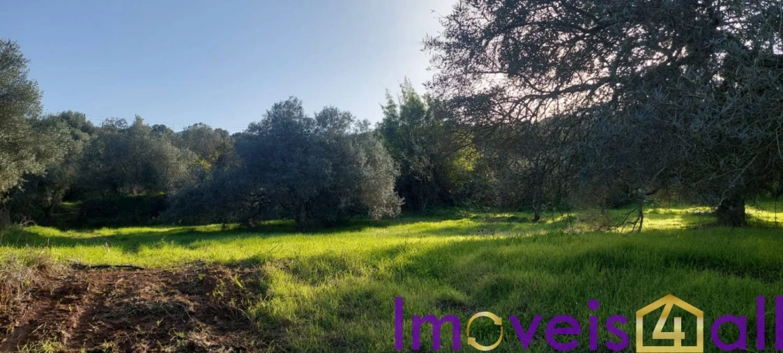 Terreno para Venda em Alte Foto 23
