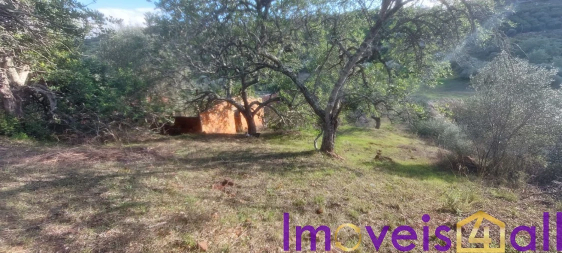 Terreno para Venda em Alte Foto 6