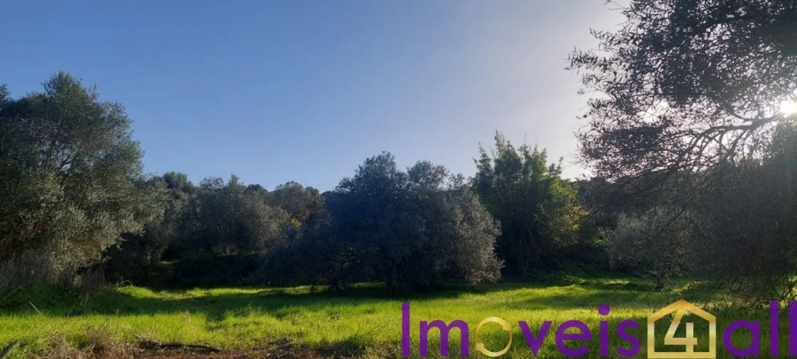 Terreno para Venda em Alte Foto 19