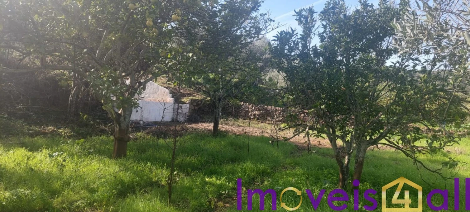 Terreno para Venda em Alte Foto 21