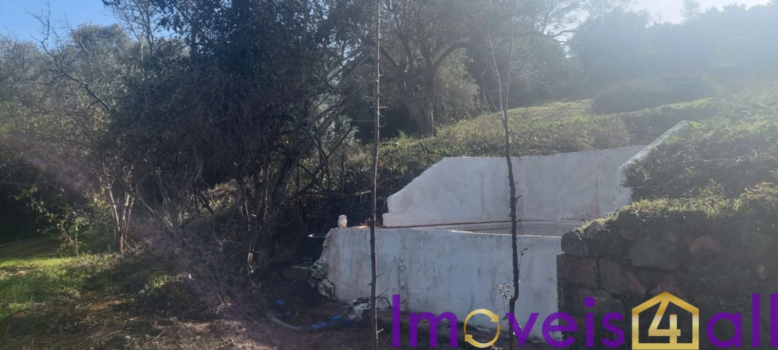 Terreno para Venda em Alte Foto 27