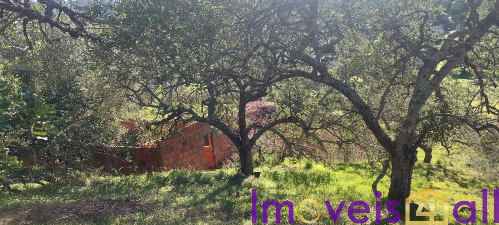 Terreno para Venda em Alte Foto 12