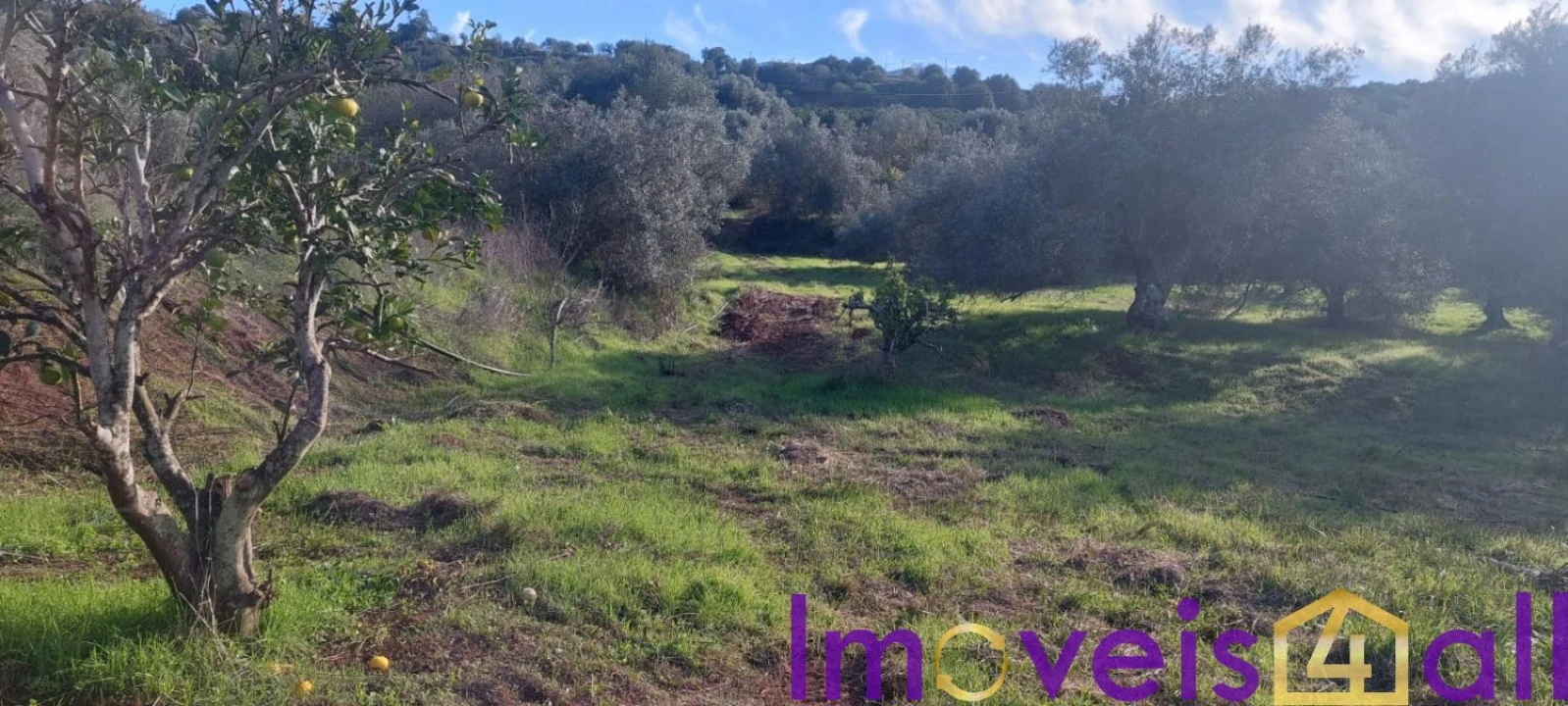 Terreno para Venda em Alte Foto 28