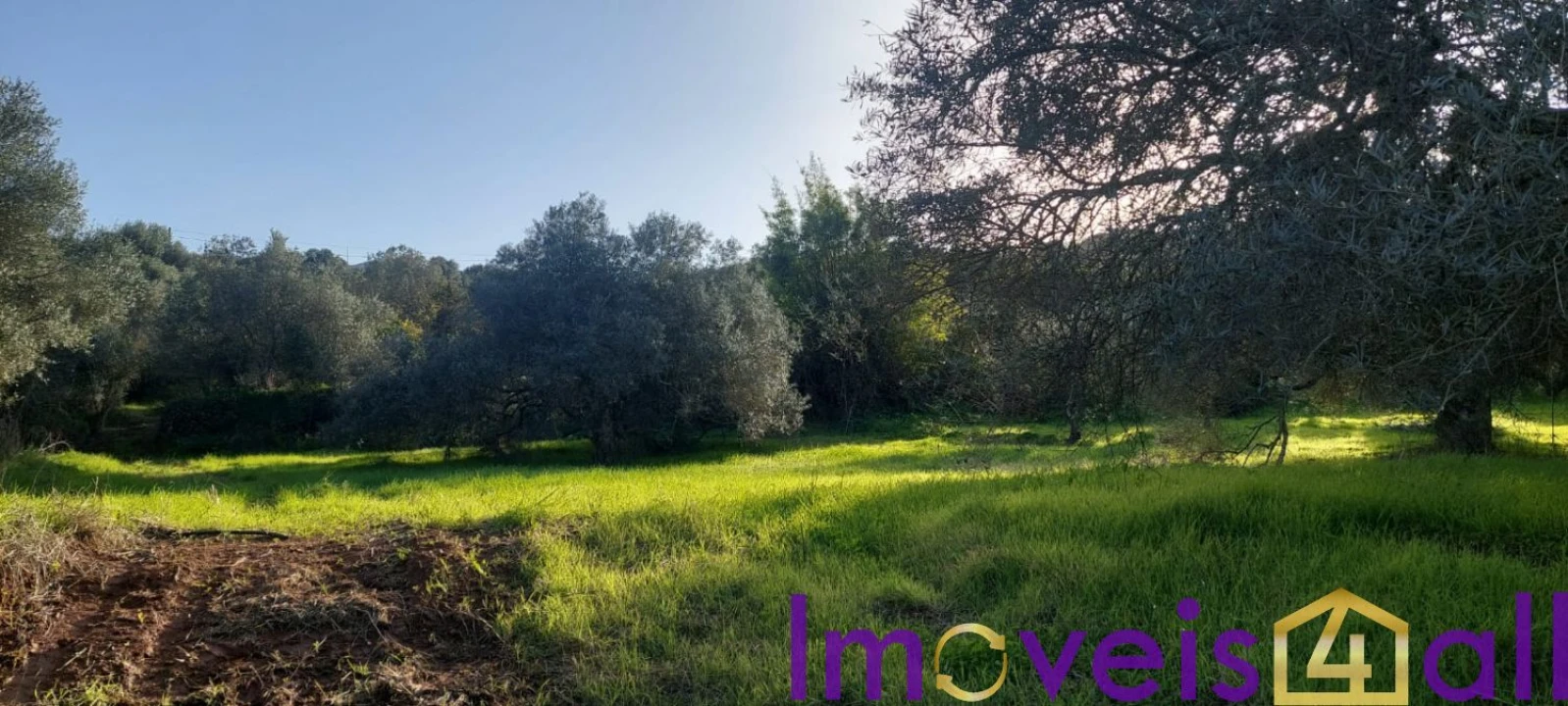Terreno para Venda em Alte Foto 23