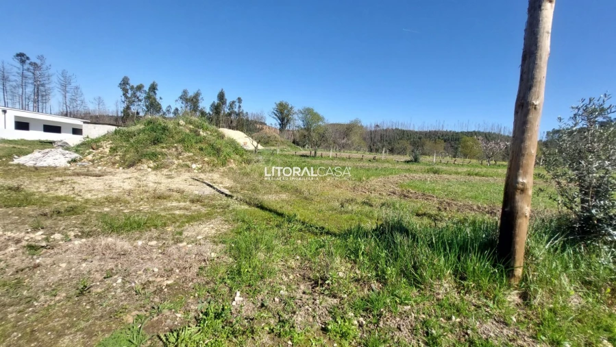 Moradia T3 para Venda em Macinhata do Vouga Foto 7