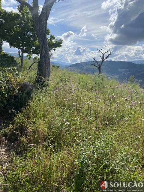 Moradia T4 para Venda em Barro