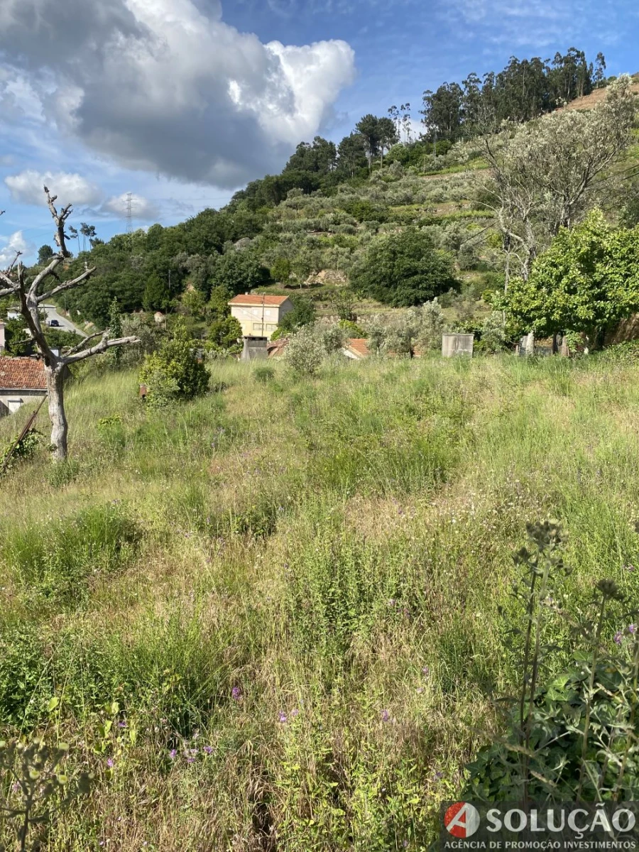 Moradia T4 para Venda em Barro Foto 13