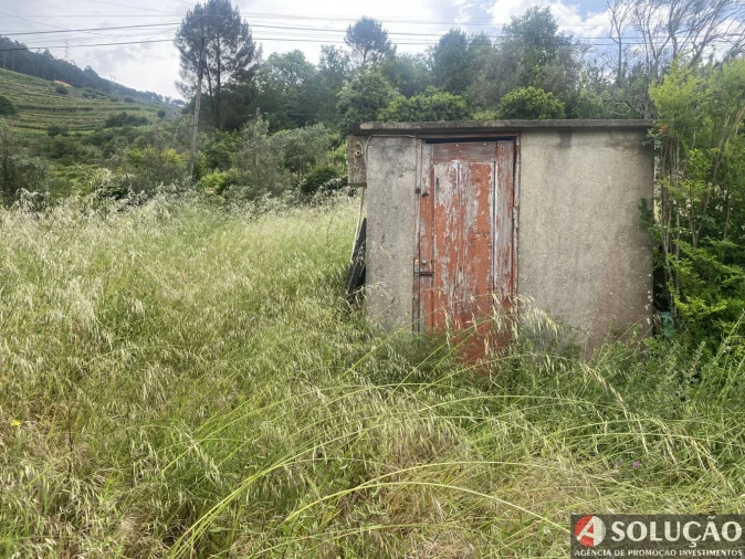 Moradia T4 para Venda em Barro Foto 16