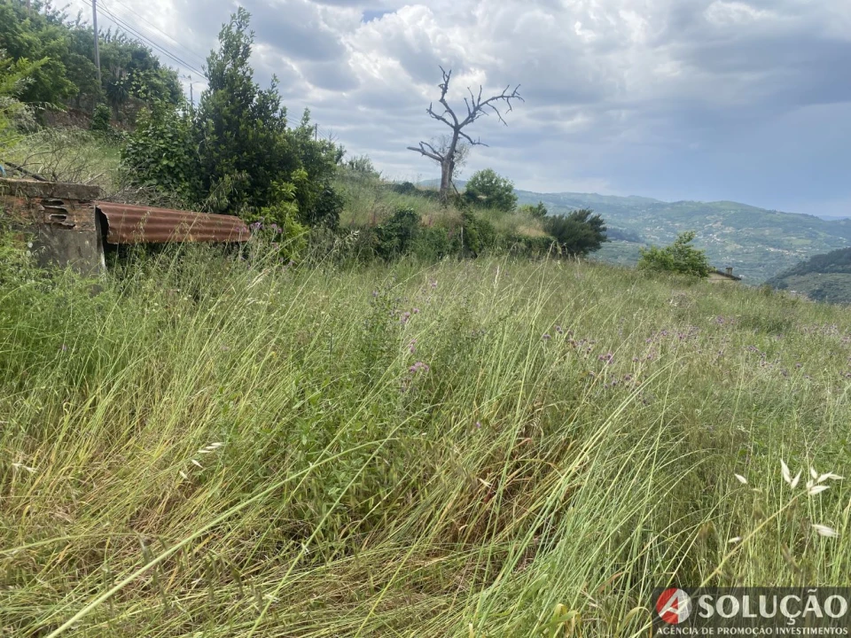 Moradia T4 para Venda em Barro Foto 15