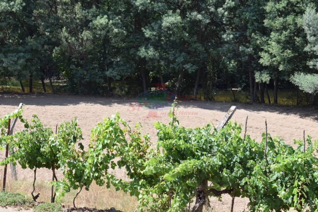 Quinta T2 para Venda em Lavegadas Foto 4