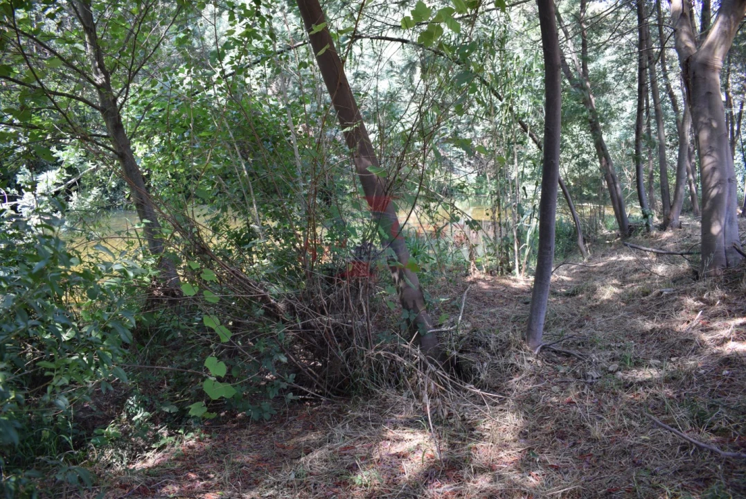 Quinta T2 para Venda em Lavegadas Foto 16