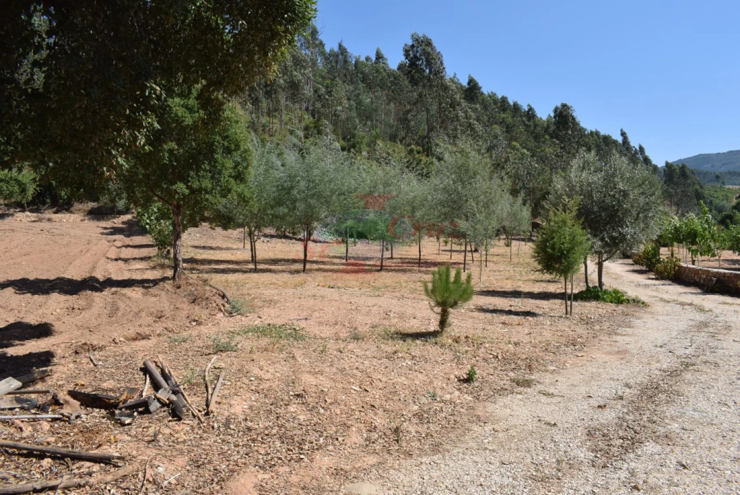 Quinta T2 para Venda em Lavegadas Foto 39