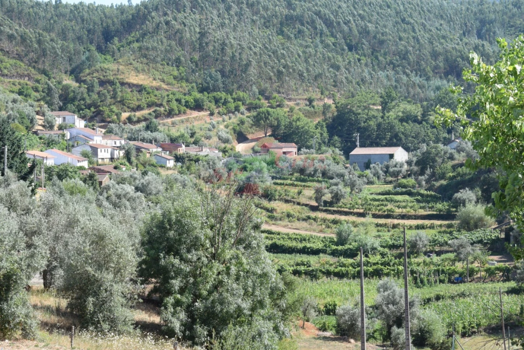 Quinta T2 para Venda em Lavegadas Foto 79