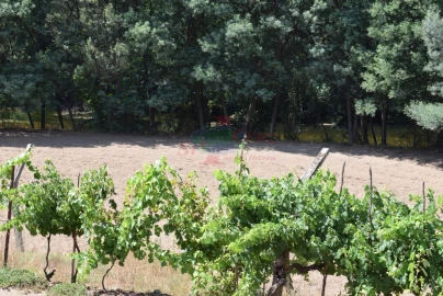 Quinta T2 para Venda em Lavegadas