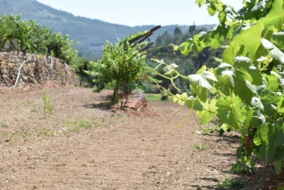 Quinta T2 para Venda em Lavegadas