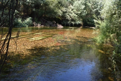 Quinta T2 para Venda em Lavegadas