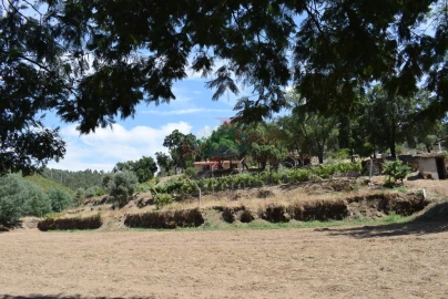 Quinta T2 para Venda em Lavegadas