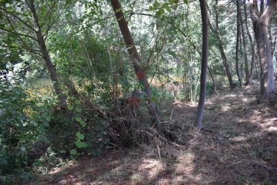Quinta T2 para Venda em Lavegadas