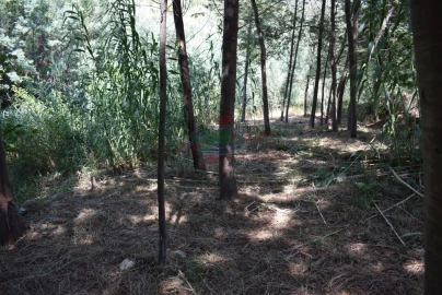 Quinta T2 para Venda em Lavegadas