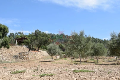 Quinta T2 para Venda em Lavegadas