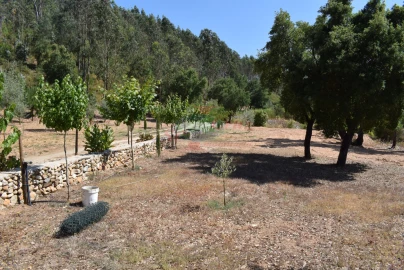 Quinta T2 para Venda em Lavegadas