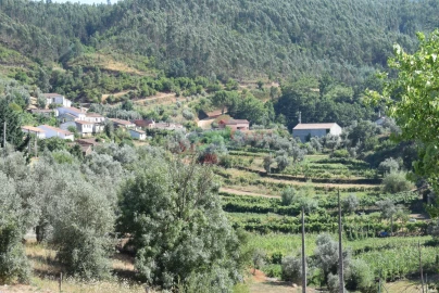 Quinta T2 para Venda em Lavegadas
