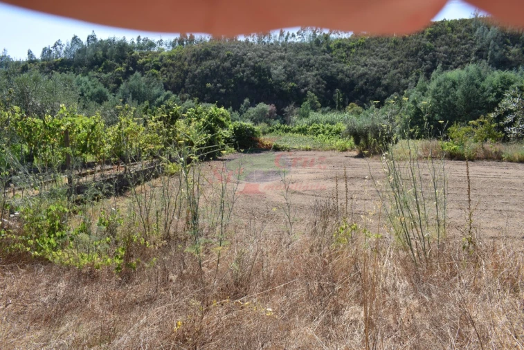 Quinta T2 para Venda em Lavegadas Foto 26