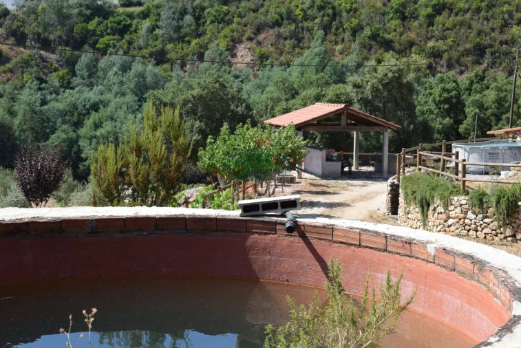 Quinta T2 para Venda em Lavegadas Foto 38